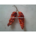 Organic Dry Red Chilli